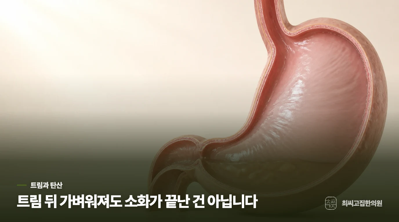 트림 뒤 속이 편해지는 느낌은 왜 잠깐일까요?