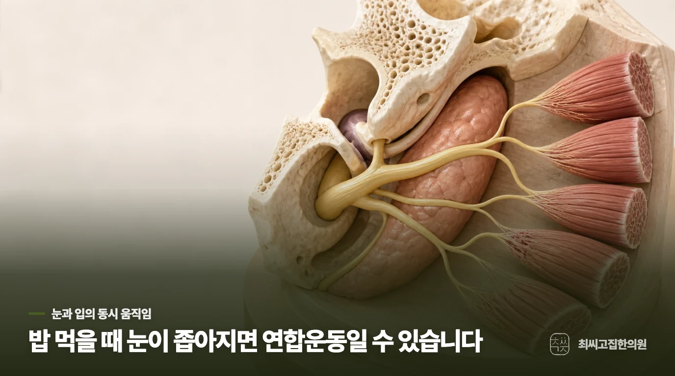밥을 먹을 때 한쪽 눈이 따라 감기는 이유