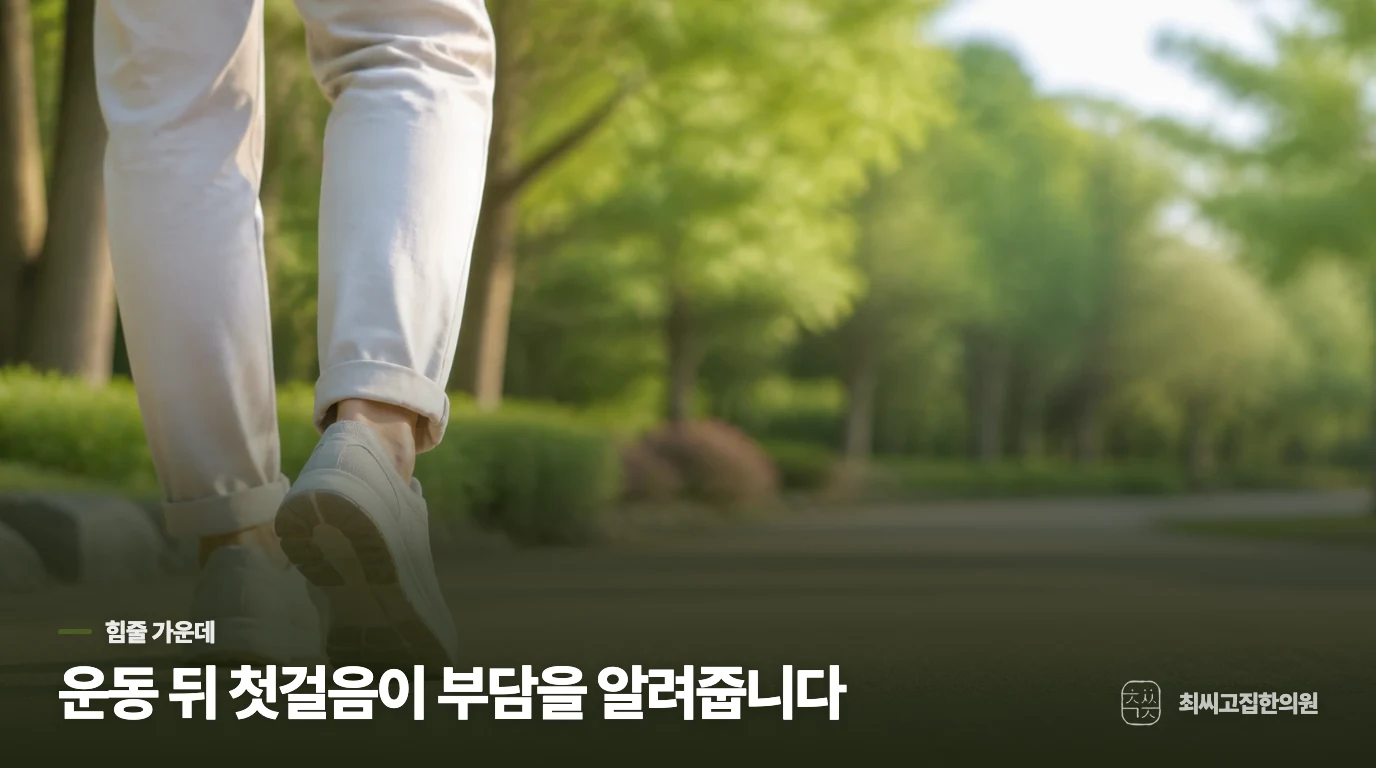 조금 위쪽 힘줄이 아프다면, 얼마나 썼는지가 중요합니다