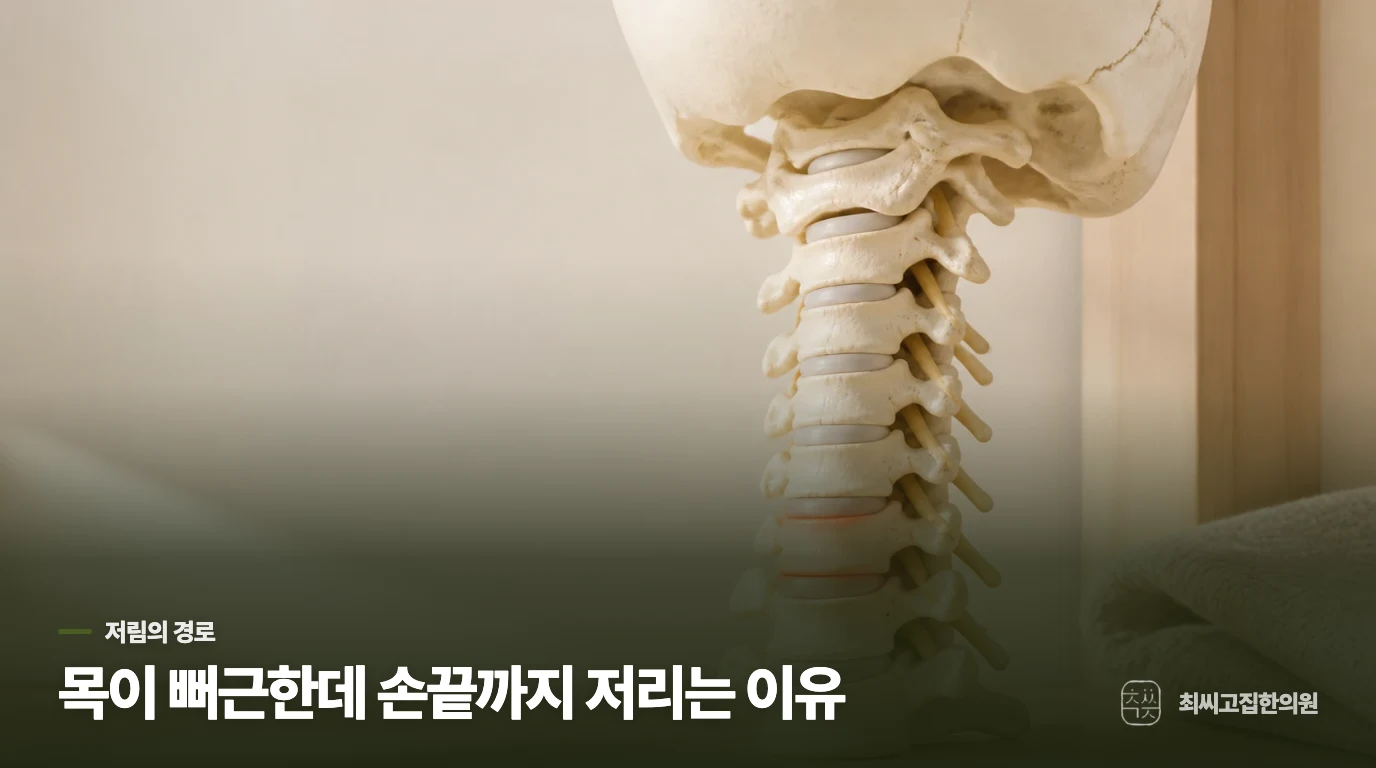 목이 뻐근한데 손끝까지 저리는 이유