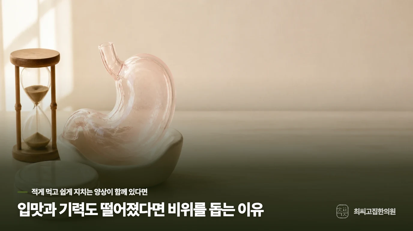입맛과 기력도 떨어졌다면 비위를 돕는 이유