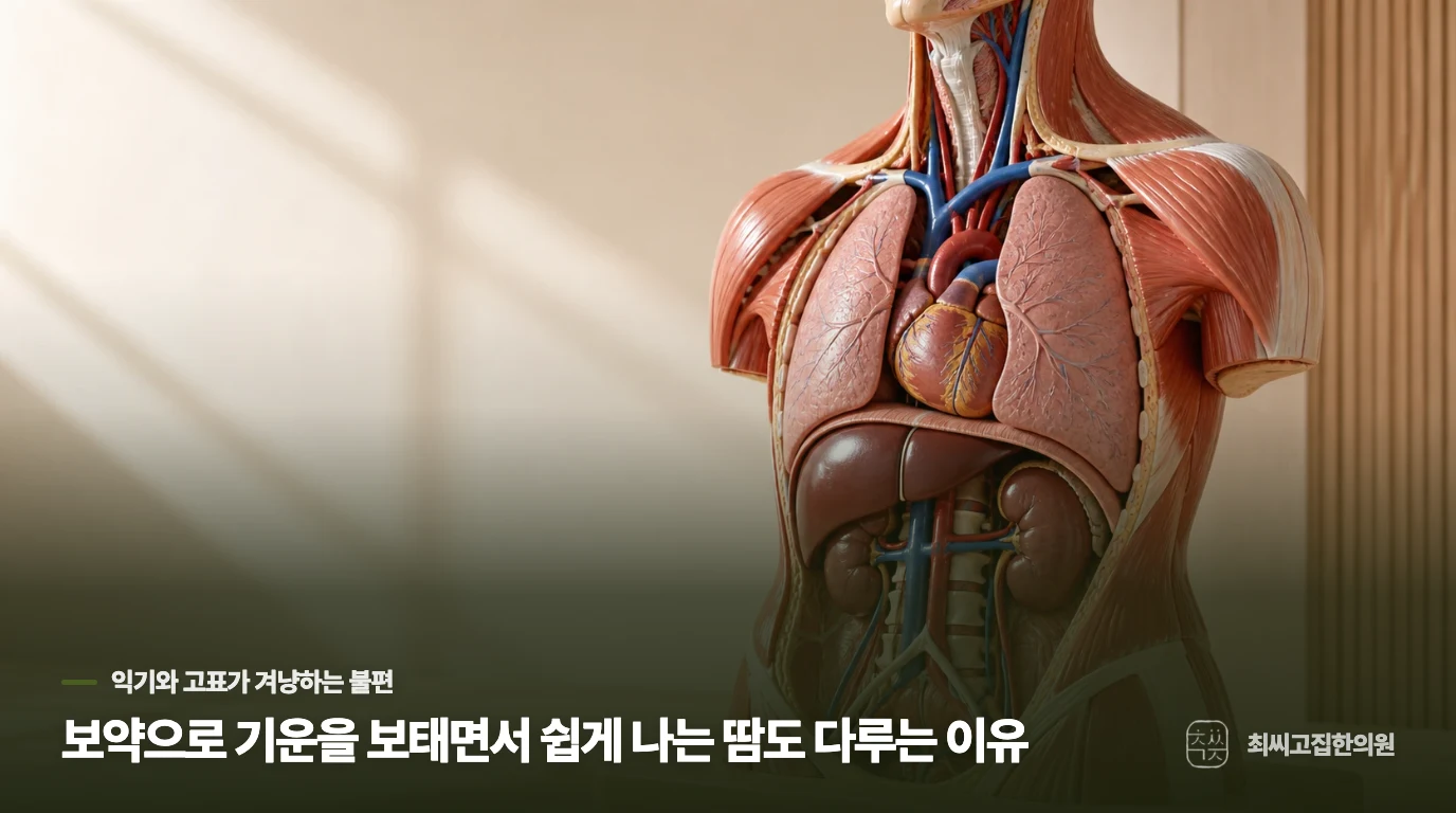 보약으로 기운을 보태면서 쉽게 나는 땀도 다루는 이유