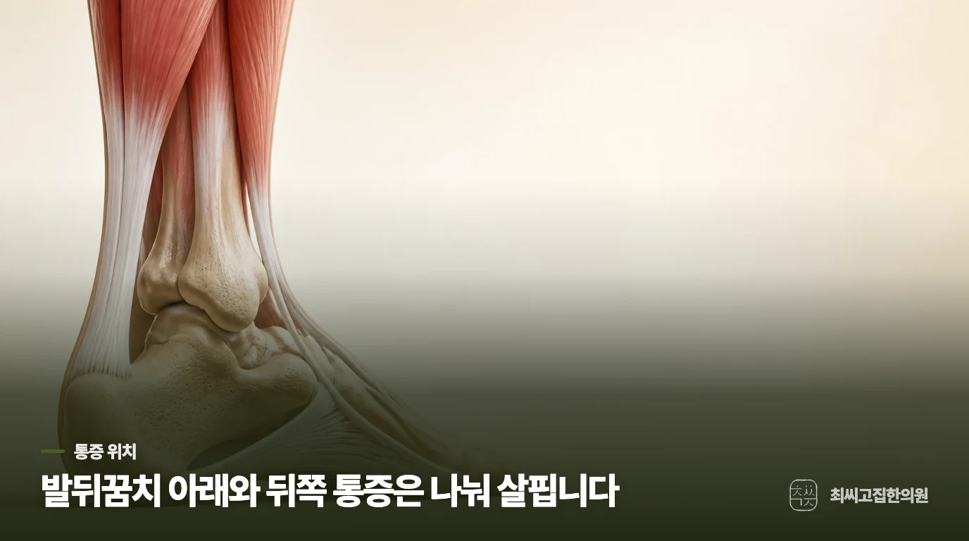 통증 위치가 진료에서 중요한 이유
