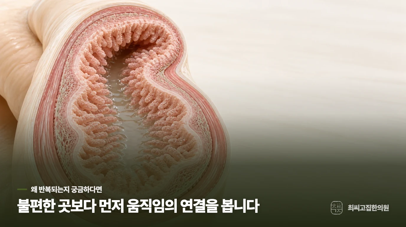 중요한 순간마다 배 속이 요동치는 이유