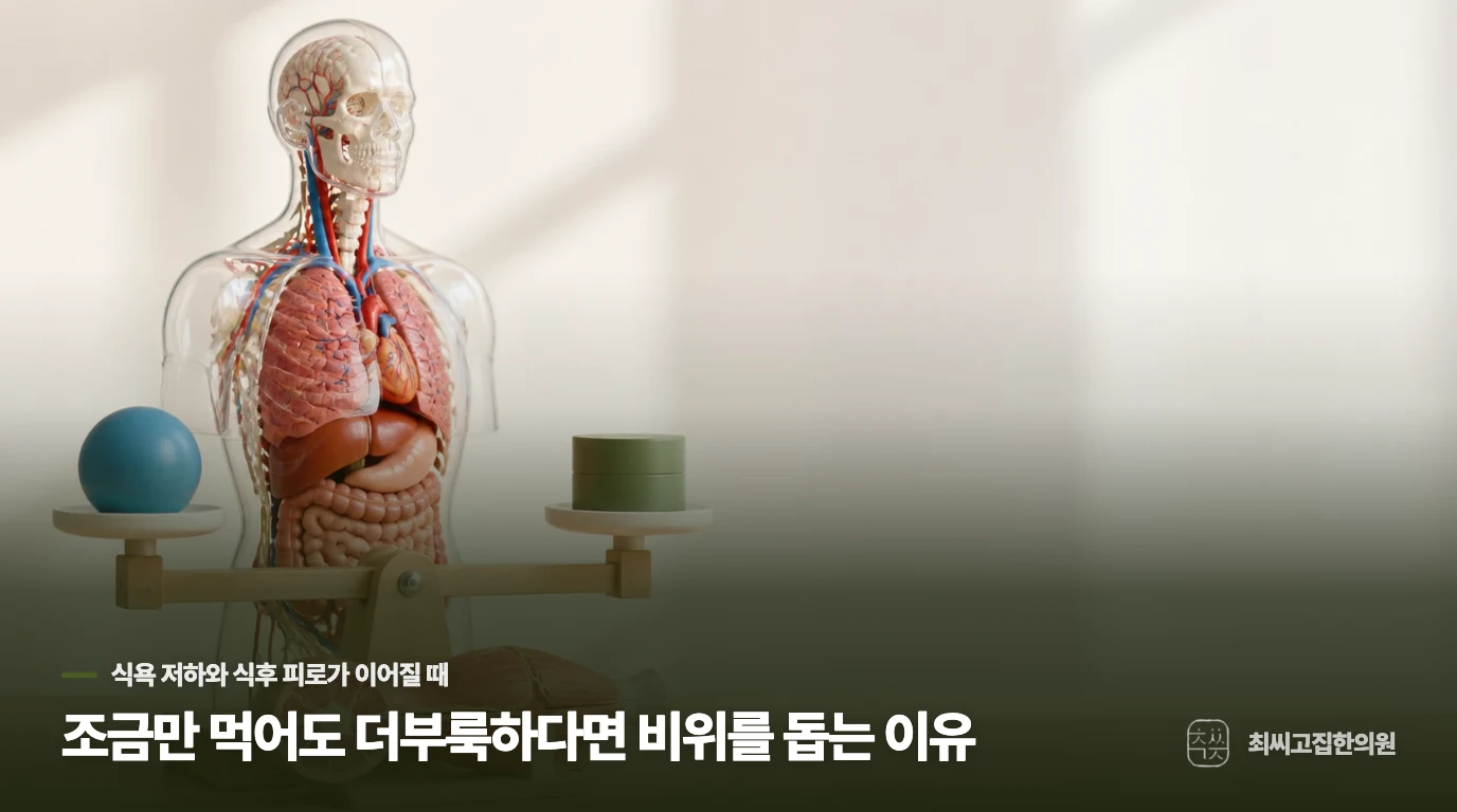 조금만 먹어도 더부룩하다면 비위를 돕는 이유
