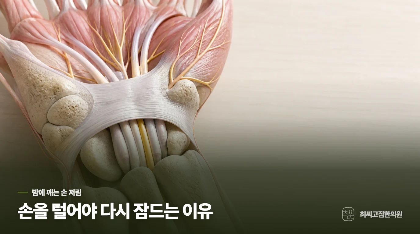 밤에 깨서 손을 터는 장면이 출발점입니다