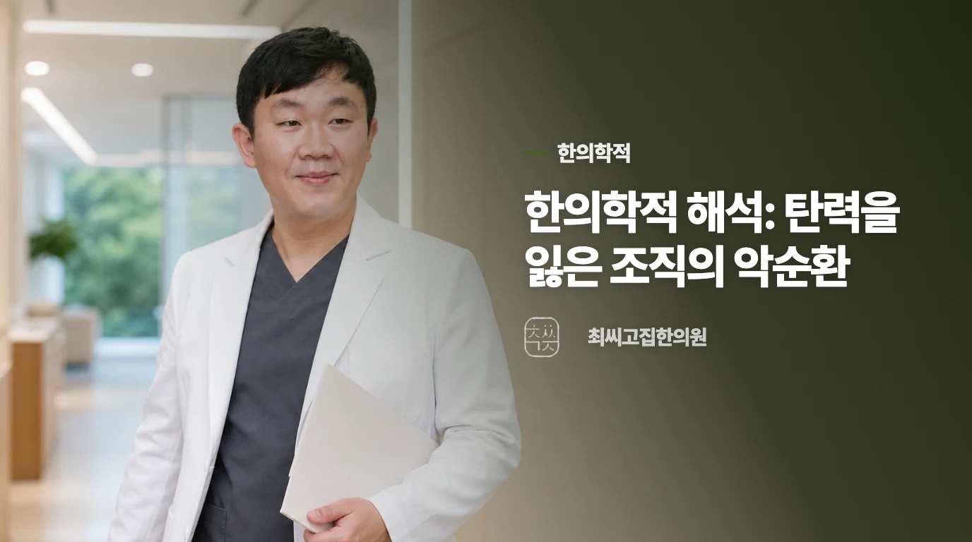 한의학적 해석: 탄력을 잃은 조직의 악순환